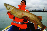 Kyle Moxon - Tournament Organizer